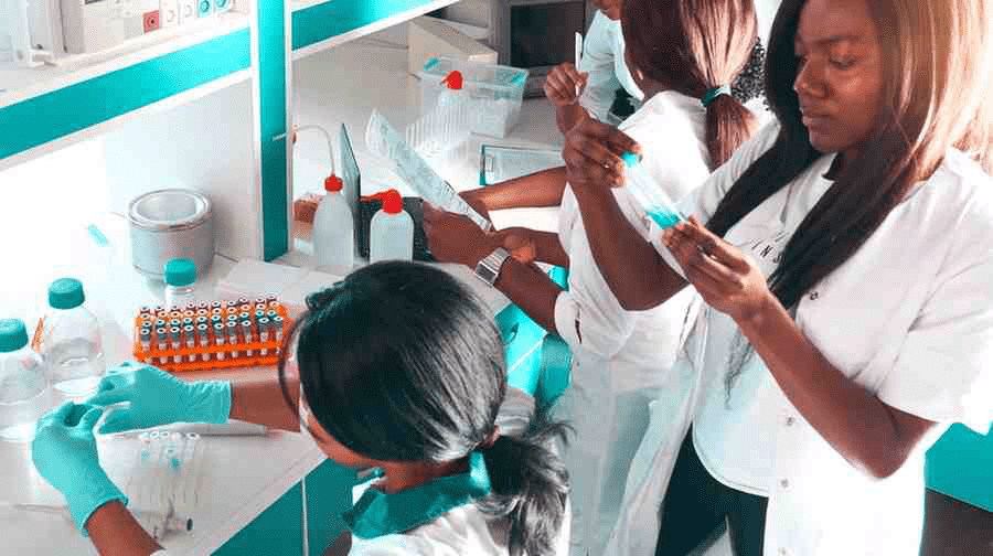Medical School students participating in a research opportunity during their clinical rotations.